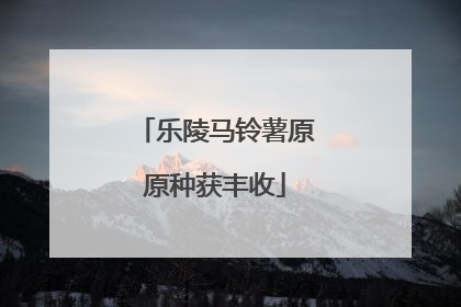 乐陵马铃薯原原种获丰收