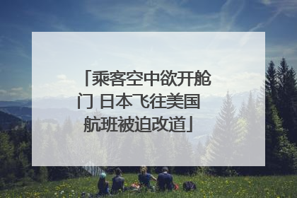 乘客空中欲开舱门 日本飞往美国航班被迫改道