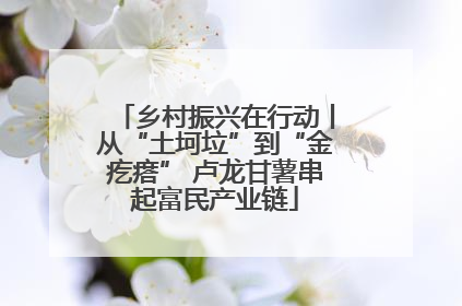 乡村振兴在行动丨从“土坷垃”到“金疙瘩” 卢龙甘薯串起富民产业链