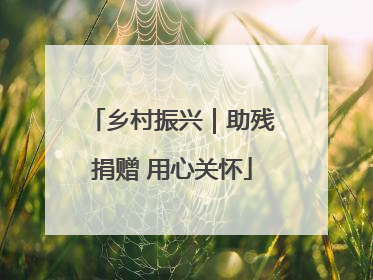 乡村振兴｜助残捐赠 用心关怀