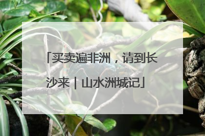 买卖遍非洲，请到长沙来｜山水洲城记