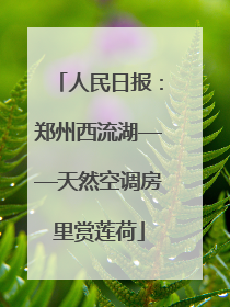 人民日报：郑州西流湖——天然空调房里赏莲荷