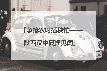 争抢农时插秧忙——陕西汉中夏播见闻