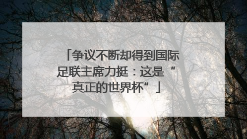 争议不断却得到国际足联主席力挺：这是“真正的世界杯”