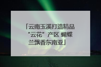 云南玉溪打造精品“云花”产区 蝴蝶兰飘香东南亚