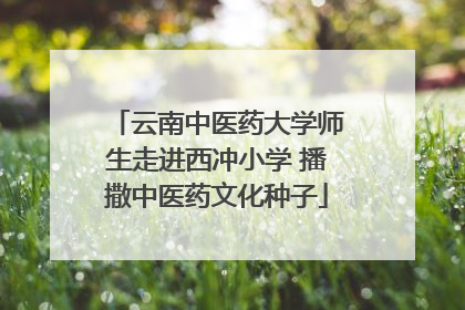 云南中医药大学师生走进西冲小学 播撒中医药文化种子