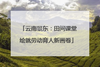 云南景东：田间课堂绘就劳动育人新画卷