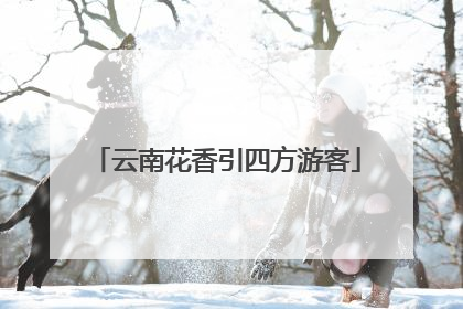 云南花香引四方游客