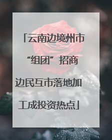 云南边境州市“组团”招商 边民互市落地加工成投资热点