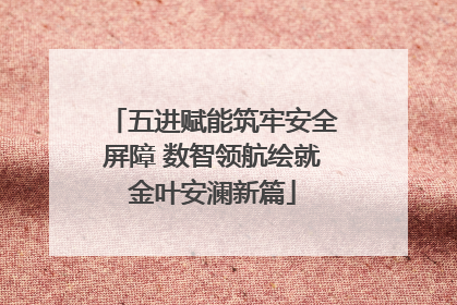 五进赋能筑牢安全屏障 数智领航绘就金叶安澜新篇
