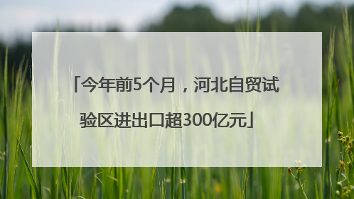 今年前5个月，河北自贸试验区进出口超300亿元