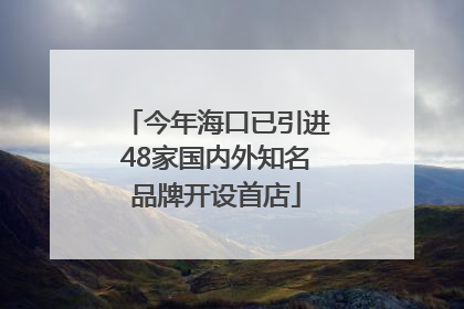 今年海口已引进48家国内外知名品牌开设首店