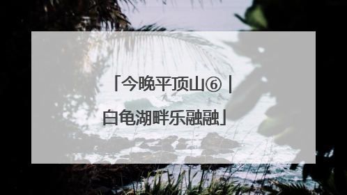 今晚平顶山⑥｜白龟湖畔乐融融