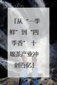从“一季鲜”到“四季香” 十堰茶产业冲刺百亿