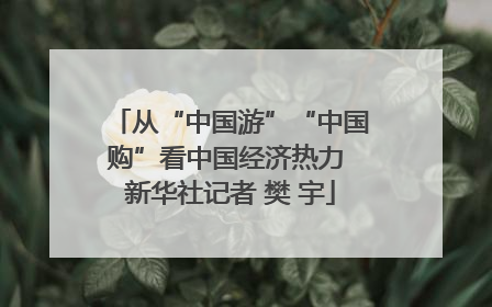 从“中国游”“中国购”看中国经济热力 新华社记者 樊 宇