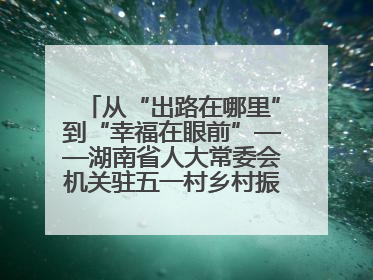 从“出路在哪里”到“幸福在眼前”——湖南省人大常委会机关驻五一村乡村振兴帮扶工作队书写振兴答卷