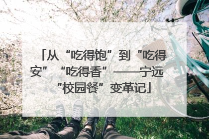 从“吃得饱”到“吃得安”“吃得香”——宁远“校园餐”变革记