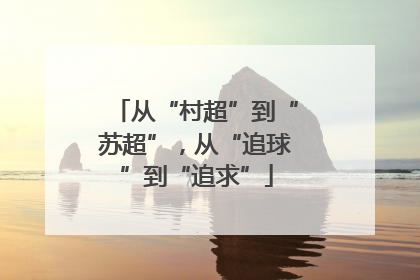 从“村超”到“苏超”，从“追球”到“追求”