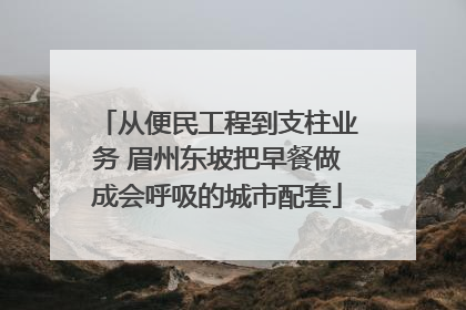 从便民工程到支柱业务 眉州东坡把早餐做成会呼吸的城市配套