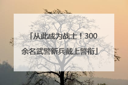 从此成为战士！300余名武警新兵戴上警衔