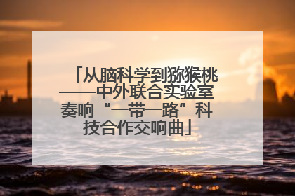 从脑科学到猕猴桃——中外联合实验室奏响“一带一路”科技合作交响曲
