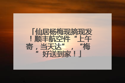 仙居杨梅现摘现发！顺丰航空件“上午寄，当天达”，“梅”好送到家！