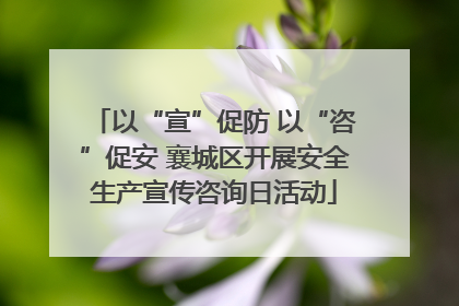 以“宣”促防 以“咨”促安 襄城区开展安全生产宣传咨询日活动