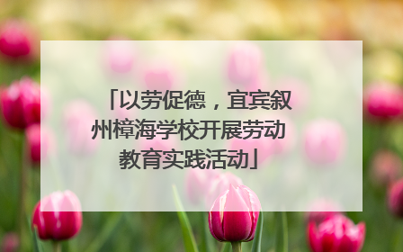 以劳促德，宜宾叙州樟海学校开展劳动教育实践活动