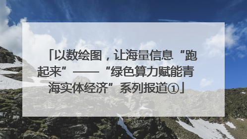 以数绘图，让海量信息“跑起来”——“绿色算力赋能青海实体经济”系列报道①