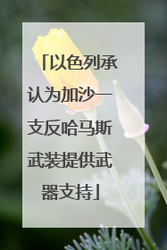 以色列承认为加沙一支反哈马斯武装提供武器支持