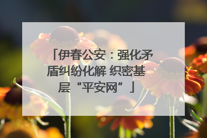 伊春公安：强化矛盾纠纷化解 织密基层“平安网”