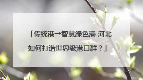 传统港→智慧绿色港 河北如何打造世界级港口群？