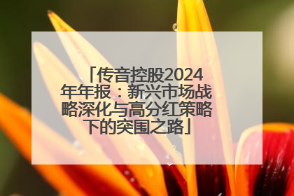 传音控股2024年年报：新兴市场战略深化与高分红策略下的突围之路