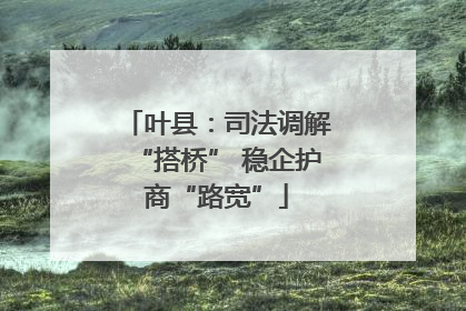 叶县：司法调解“搭桥” 稳企护商“路宽”