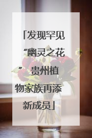 发现罕见“幽灵之花” 贵州植物家族再添新成员