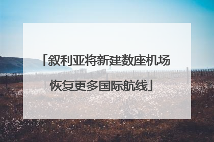 叙利亚将新建数座机场 恢复更多国际航线
