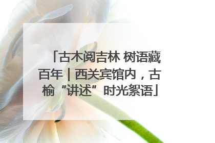 古木阅吉林 树语藏百年｜西关宾馆内，古榆“讲述”时光絮语