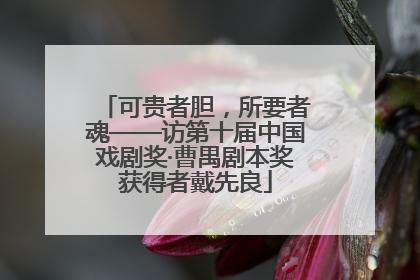 可贵者胆，所要者魂——访第十届中国戏剧奖·曹禺剧本奖获得者戴先良