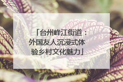 台州峰江街道：外国友人沉浸式体验乡村文化魅力