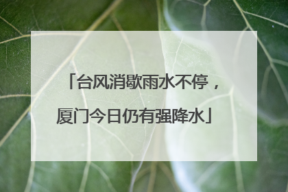 台风消歇雨水不停，厦门今日仍有强降水