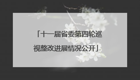 十一届省委第四轮巡视整改进展情况公开