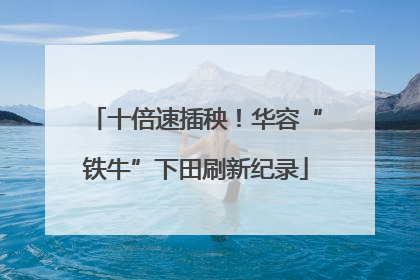 十倍速插秧！华容“铁牛”下田刷新纪录