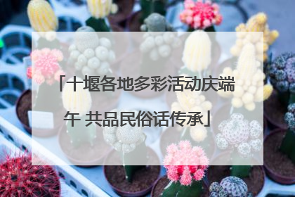 十堰各地多彩活动庆端午 共品民俗话传承