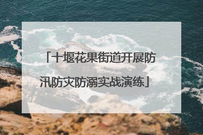 十堰花果街道开展防汛防灾防溺实战演练
