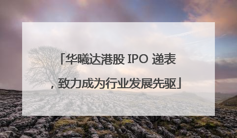 华曦达港股 IPO 递表，致力成为行业发展先驱