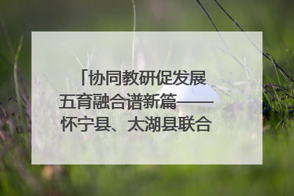协同教研促发展 五育融合谱新篇——怀宁县、太湖县联合教研活动在月山镇中心学校成功举办
