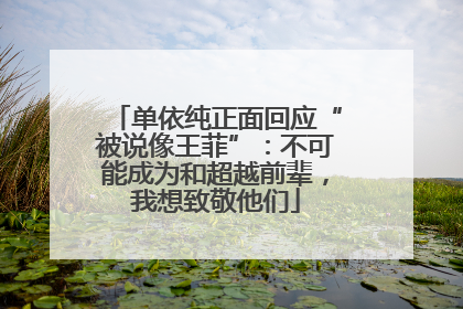 单依纯正面回应“被说像王菲”：不可能成为和超越前辈，我想致敬他们