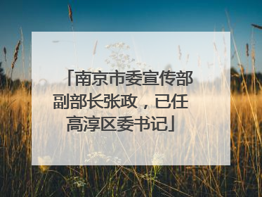 南京市委宣传部副部长张政，已任高淳区委书记
