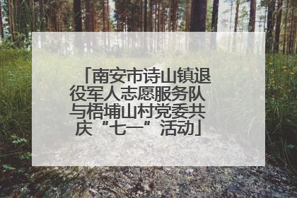 南安市诗山镇退役军人志愿服务队与梧埔山村党委共庆“七一”活动