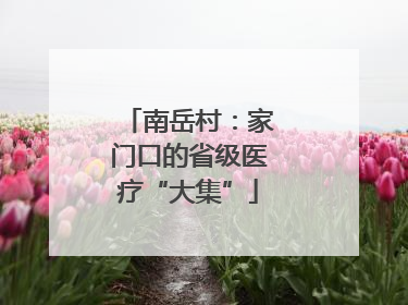 南岳村：家门口的省级医疗“大集”